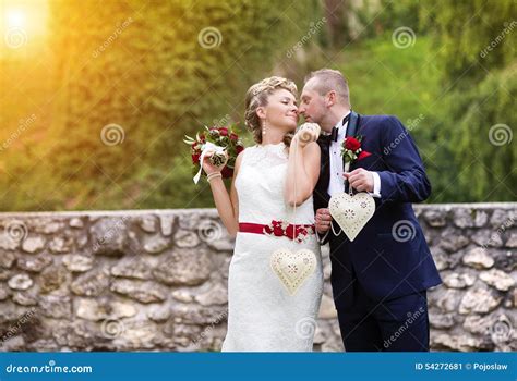 Young Wedding Couple Stock Image Image Of Beautiful 54272681