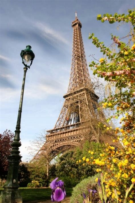 Eiffel Tower In Spring Paris Through My Eyes♥♥ Pinterest