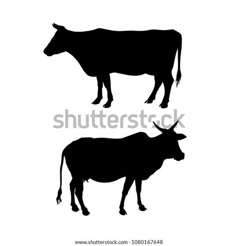 Silhouettes Standing Cow Side View Vector เวกเตอร์สต็อก ปลอดค่า