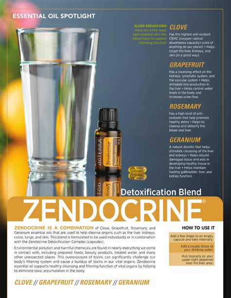 Doterra Zendocrine Essential Oil Blend So Many Benefits To Detox And