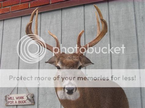 Aggressive Whitetail Mountpix S