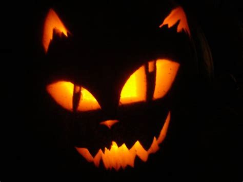 To make pumpkin carving easier, while you scrape the seeds out, you. Best 25+ Cat pumpkin stencil ideas on Pinterest | Cat ...