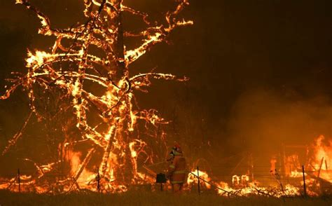 Australia atraviesa una ola de calor extremo que ha provocado miles de incendios. Unos 480 millones de animales víctimas de los incendios en ...