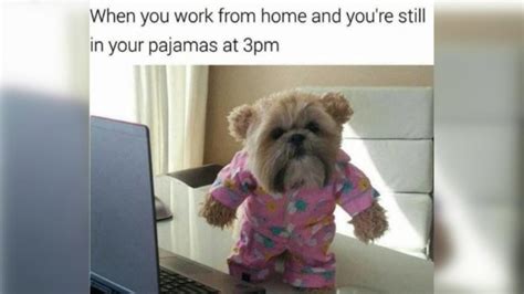 Working from home as a call center operator or customer support agent becomes quite a common practice because for february 6, 2020 at 1:46 pm. Best Work From Home memes we found online while working ...