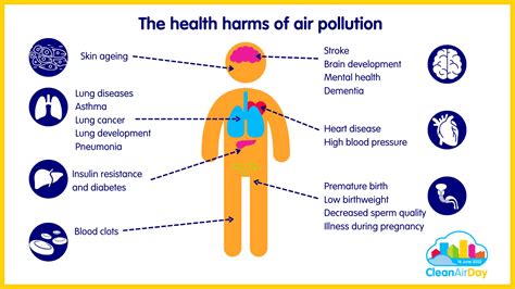 Clean Air Day 2022 Air Pollution Impacts Every Organ