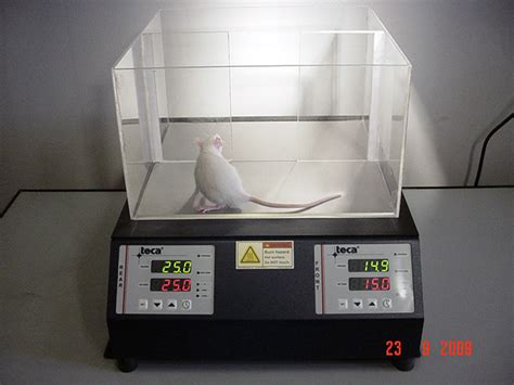 Animal Behavior Research Using Tecas Ahp 1200dcp Dual Coldhot Plate