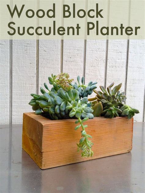 Pin By Dorothy Ashley On Diy Project Ii Wood Succulent Planter