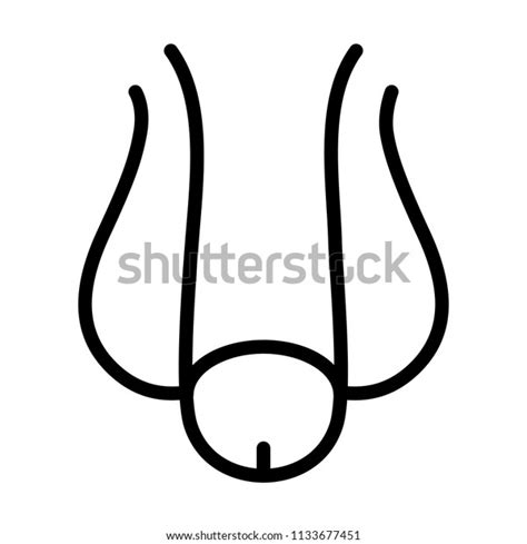Stock Vektor „male Reproductive Sexual Organ Circumcised Flaccid“ Bez