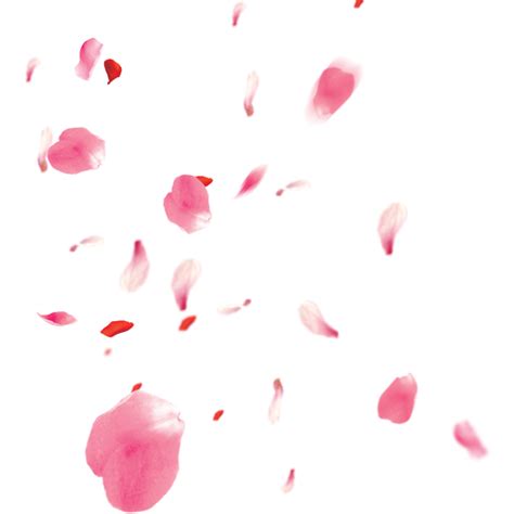 漂浮的樱花花瓣png免抠素材设计模板素材