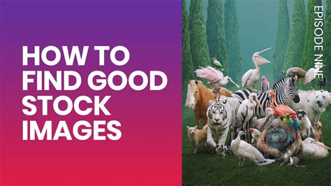 How To Find Good Stock Images Youtube