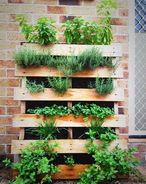 Potager vertical - idées DIY et astuces pratiques pour cultiver en