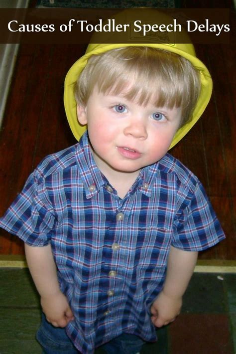 Learn more about your toddler's expanding vocabulary. Toddler Speech Delay Causes in Boys- OurFamilyWorld ...