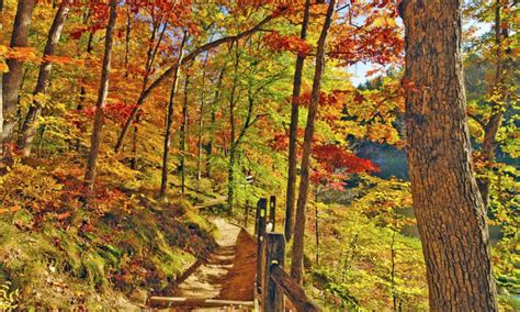 Maybe you would like to learn more about one of these? Nashville, Indiana Cabin Rentals & Getaways - All Cabins
