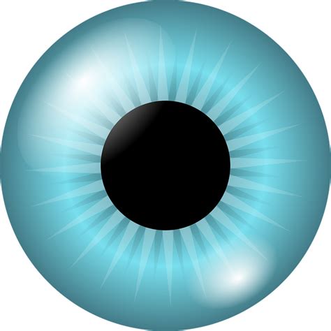 Eyeball Iris Pupil · Free vector graphic on Pixabay