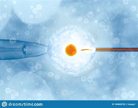 Artificial Or Assisted Fertilization Is The Process By Which The Union