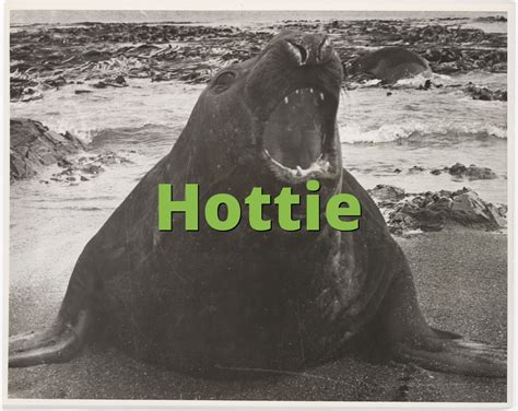 Hottie » What does Hottie mean? » Slang.org