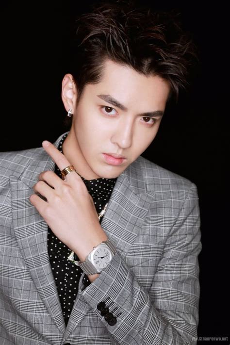 Kris wu (wu yifan)'s ideal type. Kris Wu - DramaWiki