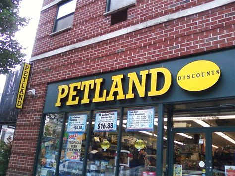 A Petland In Harlem