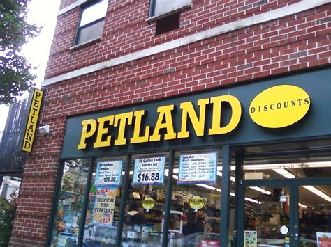 Download our petland app today for information on your local petland's available pets and pet supplies. A Petland In Harlem