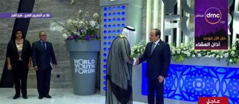 في الجزء العلوي من البطن ويُعزى السبب في ذلك لارتفاع الزائدة الدودية أثناء الحمل،٥ ولكن بشكلٍ عام يزداد ألم البطن المرافق لالتهاب الزائدة الدودية سوءًا عند الضغط على البطن أو. بالفيديو| السيسي يستقبل كبار الضيوف المشاركين في منتدى ...