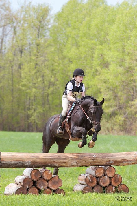 10 Cross Country Jumps Ideas Cross Country Jumps Horse Jumping