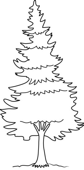 The combo library contains pages of pine tree color combinations (a.k.a, color schemes and color palettes) for you to choose from. Pine tree coloring page free clip art image #16931