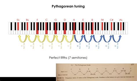 ¿por Qué Las Relaciones De Frecuencia De Las Notas En Las Escalas