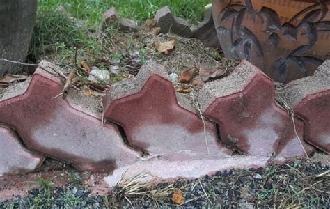 This easy landscaping project can be installed it in a weekend. Brick garden edging made easy - Gardening Site
