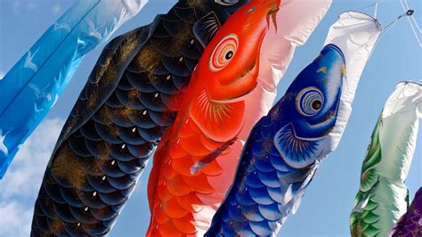 Bing is notable for changing its background image daily to feature noteworthy places, animals, people, and events. Koinobori - Bing Wallpaper Download