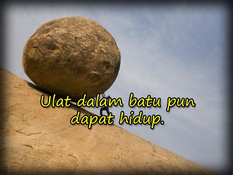 Kalau ulat dalam batu pun boleh hidup, kenapa pulak usahawan batu tidak boleh cari makan? Pepatah Melayu | Satu lagi keistimewaan Melayu yang tak ...