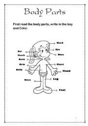 Eye, tooth, mouth, arm, hand, leg, toe, foot, knee, hip, navel, chest, nose, ear, neak, hair, shoulder, back, elbow, waist, bottom, heel. English teaching worksheets: Body parts