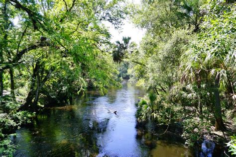 Hillsborough River State Park Landscape Stock Photo Image Of Counties