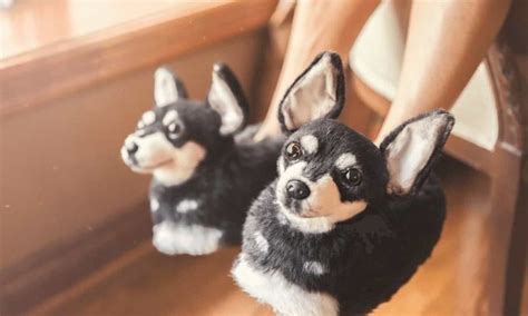 Cuddle clones is the company that will create a handmade stuffed copy of your loved pet so you can have the possibility to hug it whenever you want, wherever you are. Cuddle Clones Makes Custom Stuffed Animals to Look Like ...