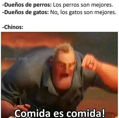 Top Memes De Gatos En Español Memedroid