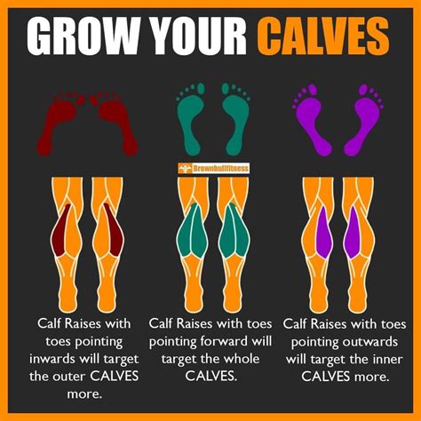 Your Calves Should Be Your Lower Body Biceps The Show And Go Muscles