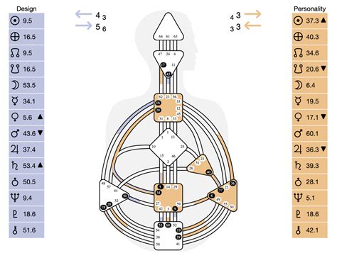 The 4 Arrows Cheat Sheet Human Design Resources