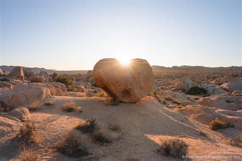 Arch Rock Joshua Tree National Park The Whole World Is A Playground