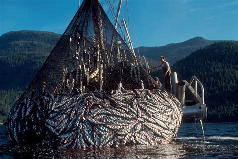 Boating boating supplies marine equipment bass pro shops. Why Non-Profits Should Not Focus on the 1 Percent | HuffPost