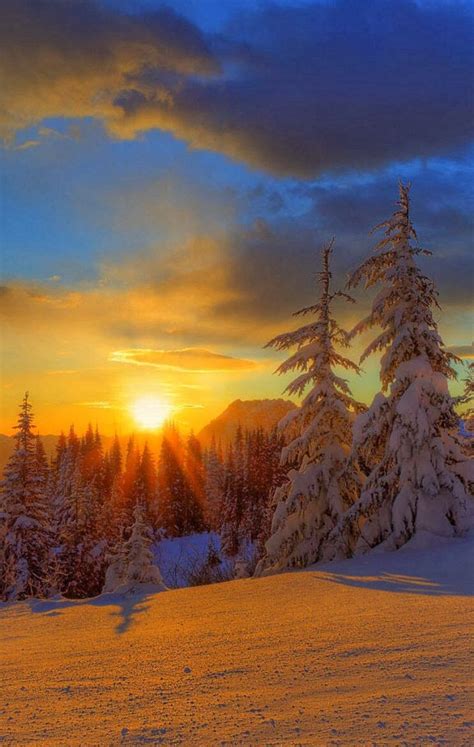 See more ideas about winter scenes, winter wonderland, winter wonder. Winter Wonderland | Scenery, Nature photos
