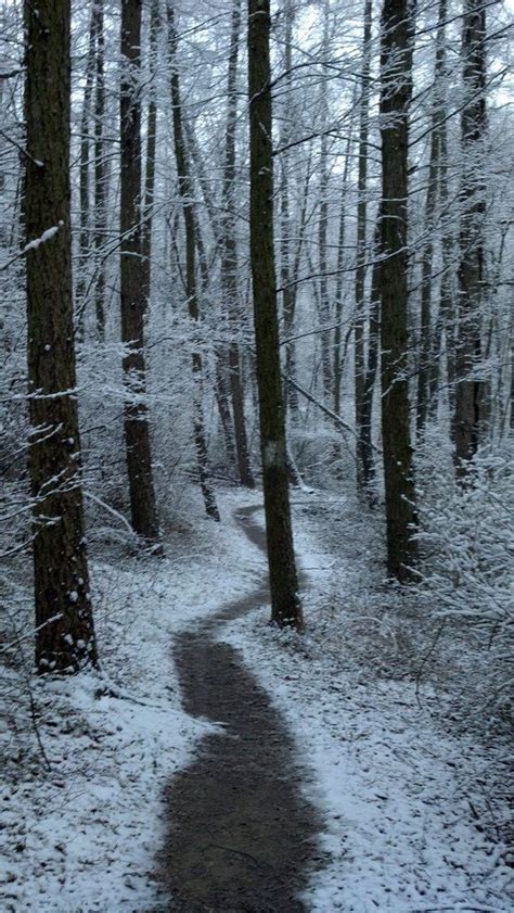 Nothing Like A Snowy Walk In The Woods Walk In The Woods Favorite