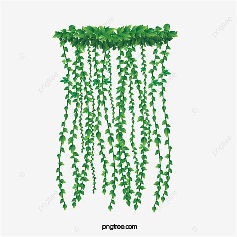Check spelling or type a new query. Hanging Plants, Plants Clipart, Plant, Green Plants PNG ...