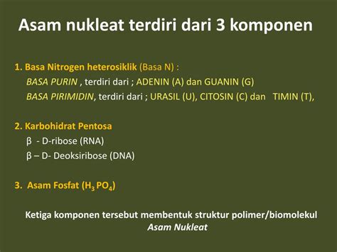 Ppt Asam Nukleat Powerpoint Presentation Free Download Id