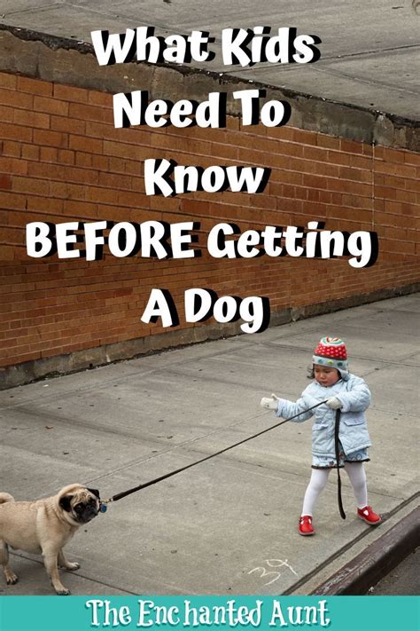 They spend time in puppy classes, dog parks, and. How to Prepare Kids for Getting a Dog - | Prepare kids ...