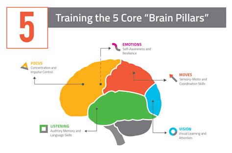 Neuroscientific Approach Brain Training Brainfit Studio