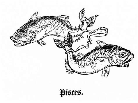 Discover your zodiac sign's worst 2021 month! Pisces Zodiac Sign: Pisces Zodiac Sign