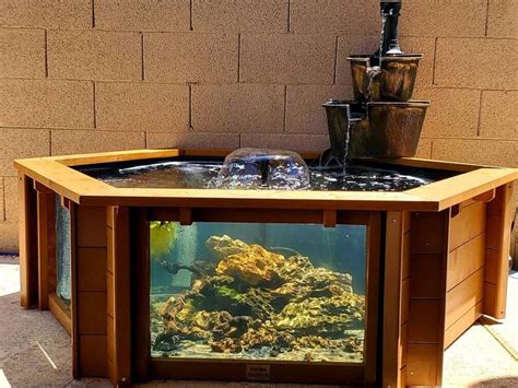Lily Clear View Garden Aquarium Raised Hexagon Fish Pond With Etsy