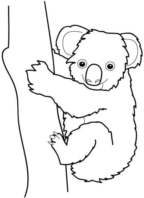 Buen Koala Con Árbol Para Colorear Imprimir E Dibujar Coloringonlycom