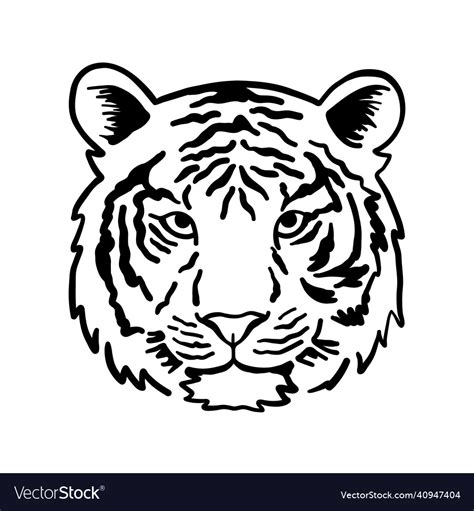 Tiger Head Face Outline Royalty Free Vector Image