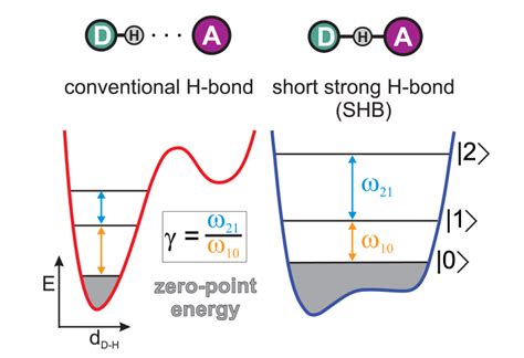 When Does A Hydrogen Bond Become A Covalent Bond Opinion Chemistry