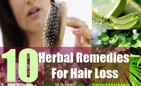 Use coconut oil at least three times in a week. 10 Herbal Remedies For Hair Loss - Herbal Treatment For ...